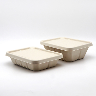 Pulp Molding Non Plastic Clamshell Lunch Box Machine Semi Automatic